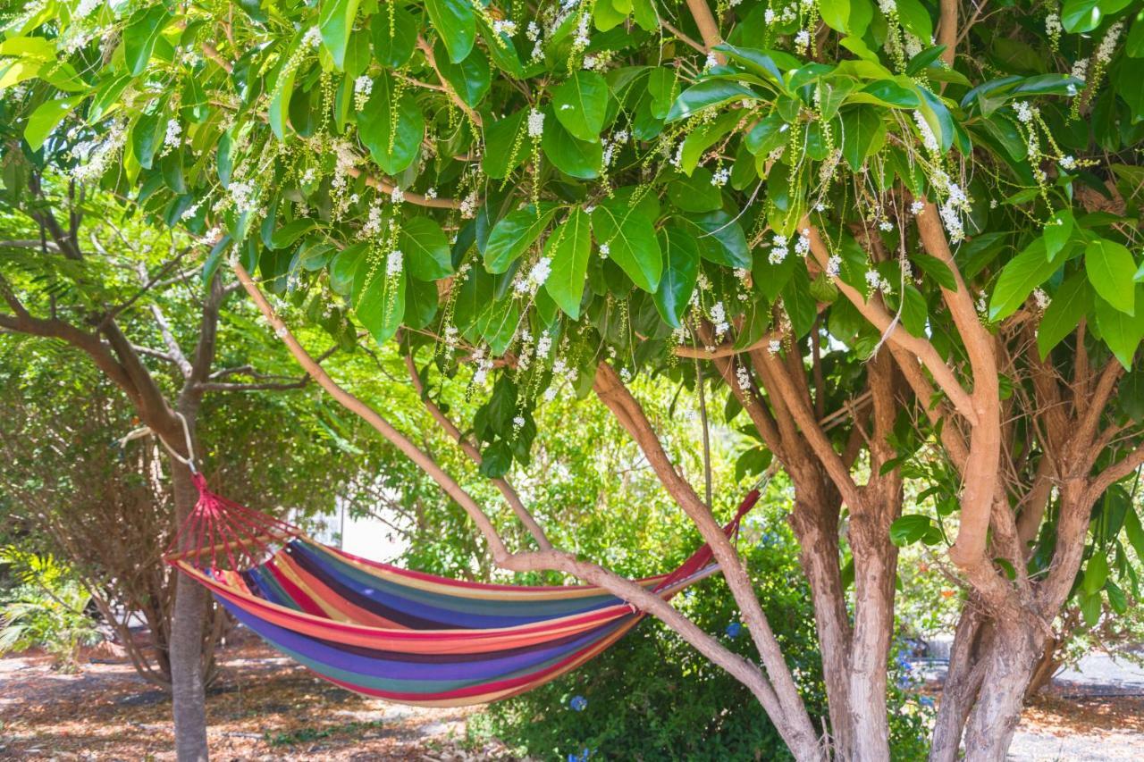 Casa Maida Διαμέρισμα Tetir Εξωτερικό φωτογραφία